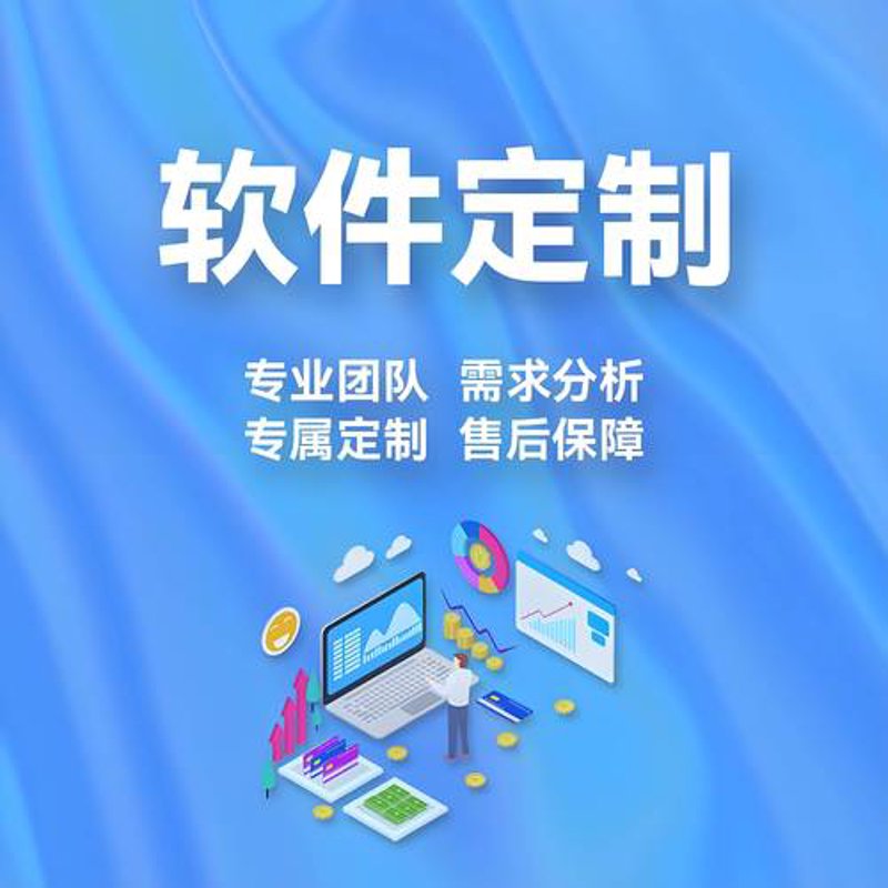 管理软件开发