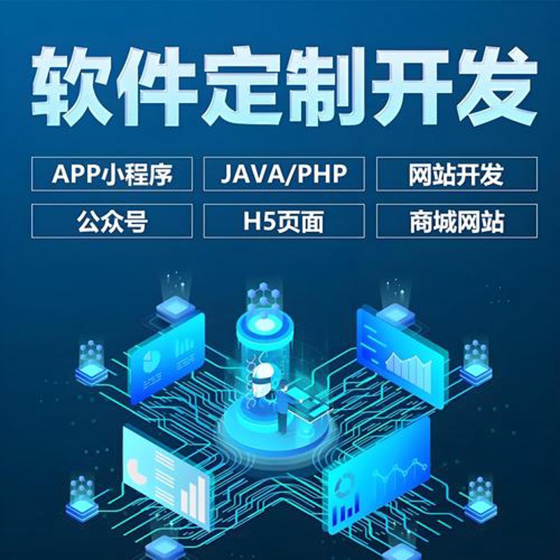 企业管理系统定制选购指南